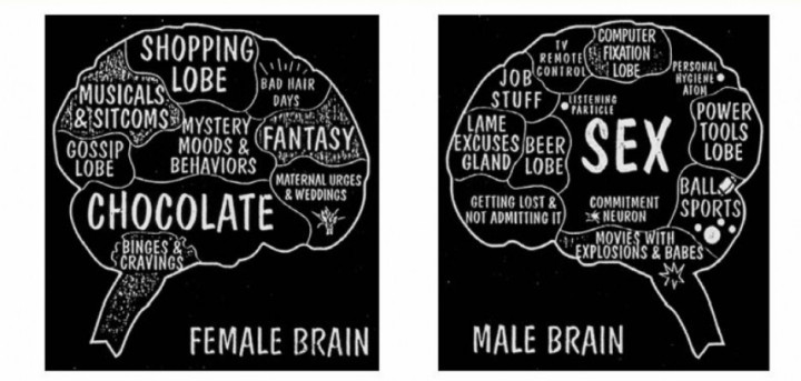 Gender stereotypes: female vs male brain