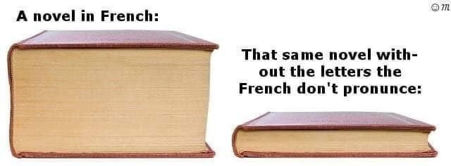 A novel in French