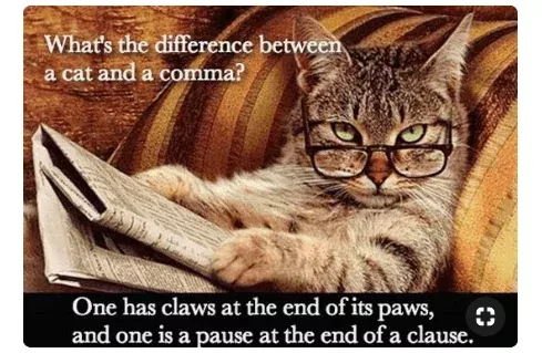 The difference between a cat and a comma