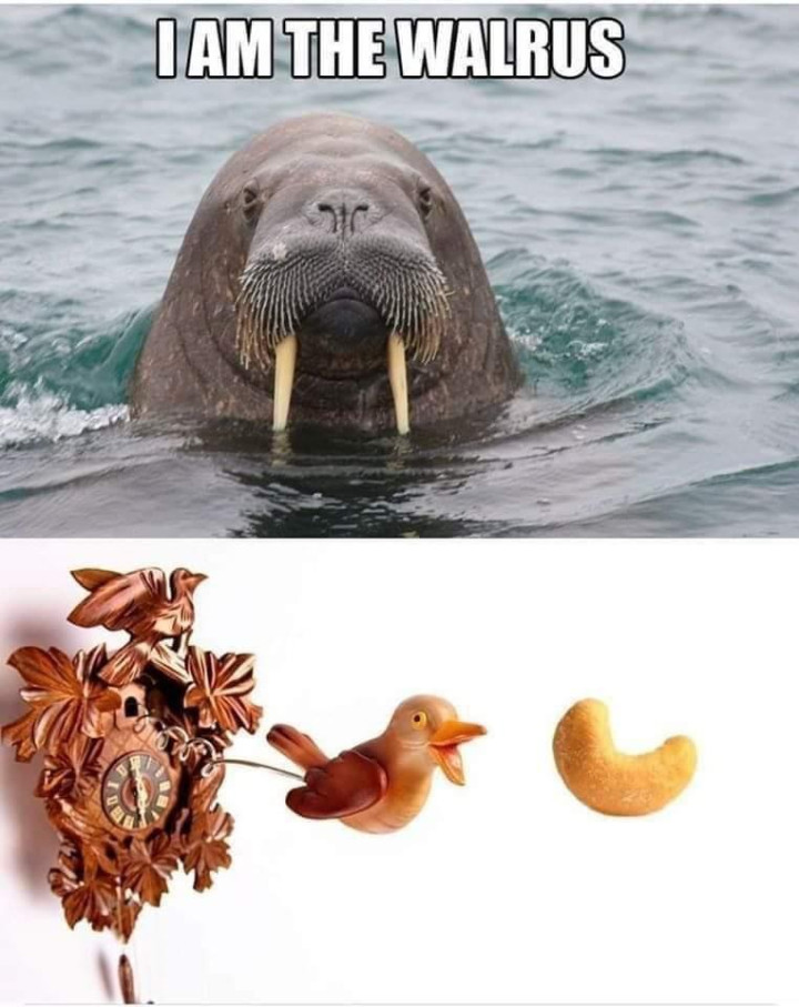 I am the Walrus (Beatles)