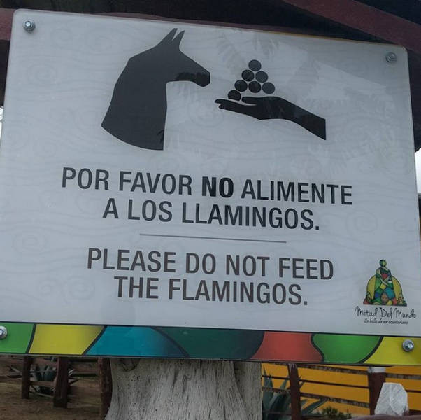Por favor no alimente a los llamingos. / Please do not feed the flamingos.